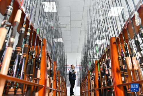 河北肅寧 小魚(yú)竿 釣出 國(guó)際大市場(chǎng)