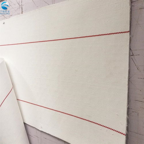 廣東無(wú)縫環(huán)形帆布輸送帶 食品級(jí)帆布帶